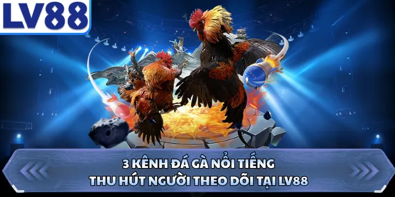 3 Kênh Đá Gà Nổi Tiếng, Thu Hút Người Theo Dõi Tại LV88